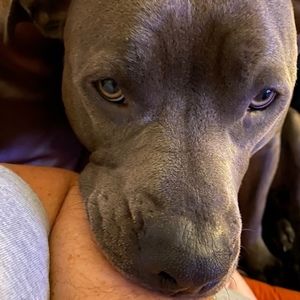 Meet your Posher, Rach’L